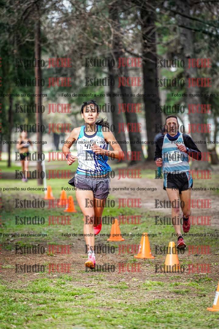 Fotos en el circuito
