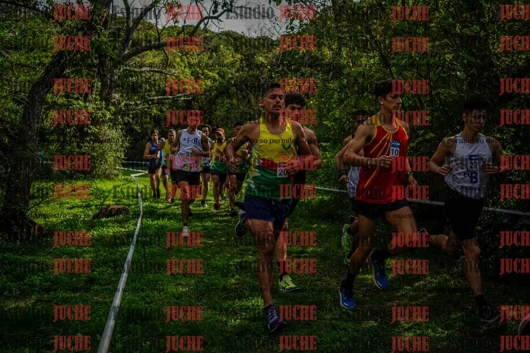 Fotos en el circuito