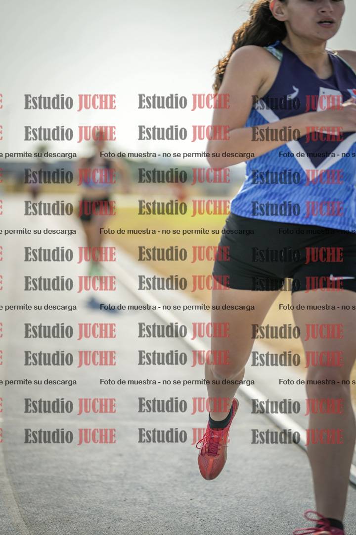 Fotos de los 800 m llanos de mujeres - combinadas 7