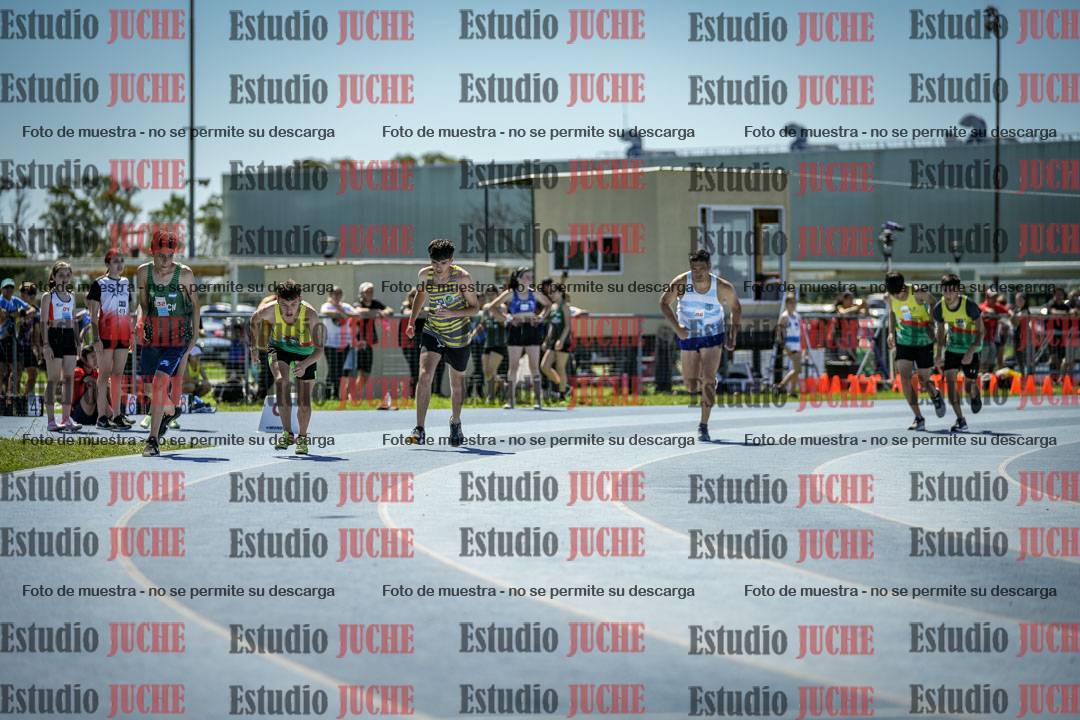 Fotos de los 800 m llanos de varones