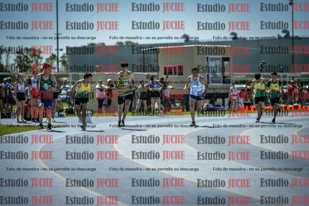 Fotos de los 800 m llanos de varones