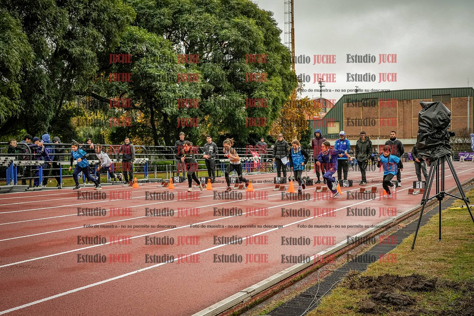 Fotos de los 50 m llanos de mujeres
