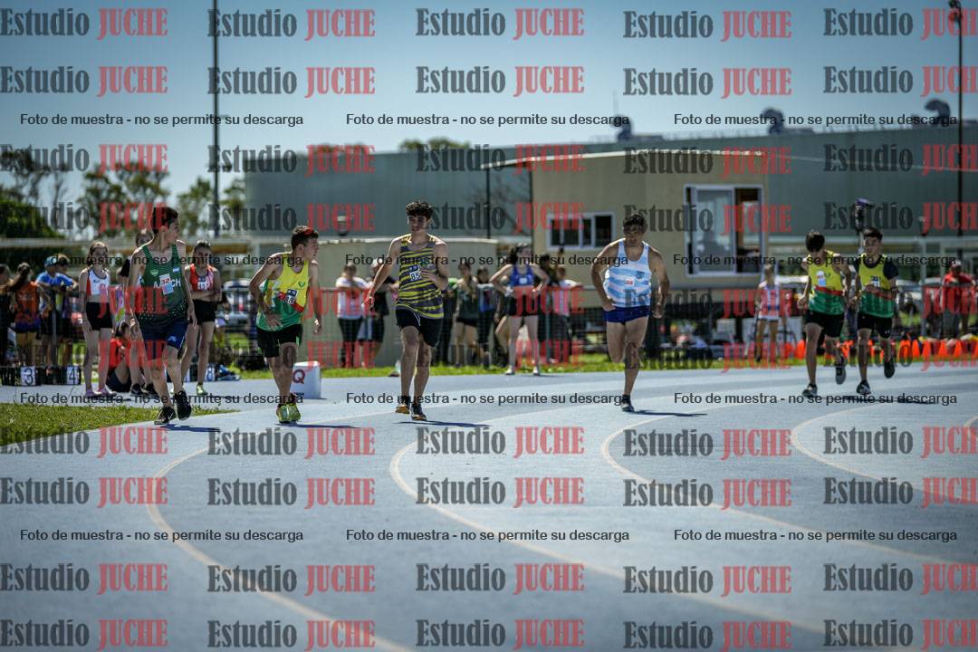 Fotos de los 800 m llanos de varones