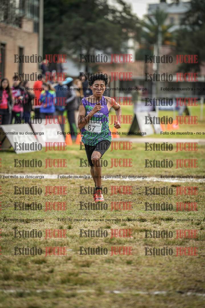Fotos de la llegada
