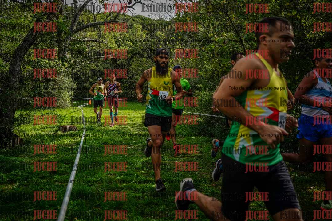 Fotos en el circuito