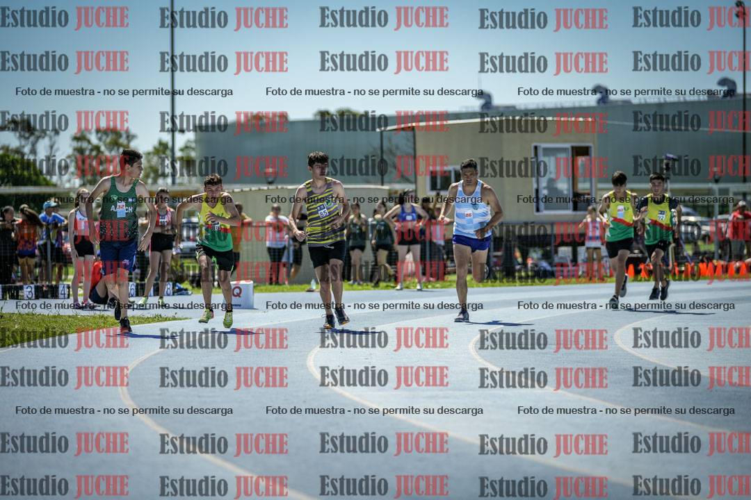 Fotos de los 800 m llanos de varones