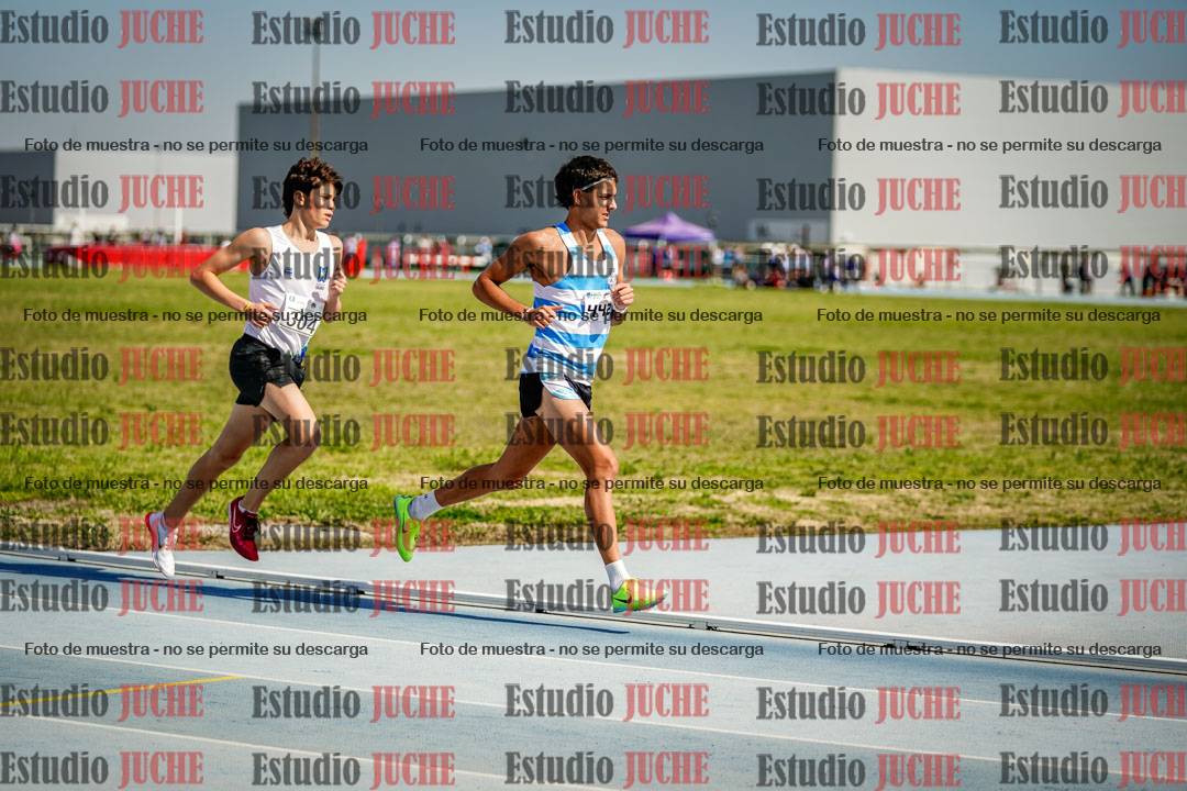 Fotos de los 3000 m llanos de varones