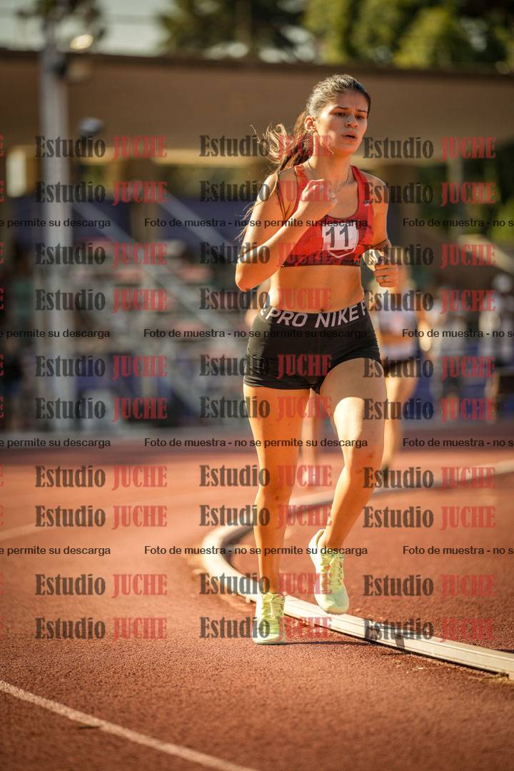 Fotos de los 800 m llanos de mujeres