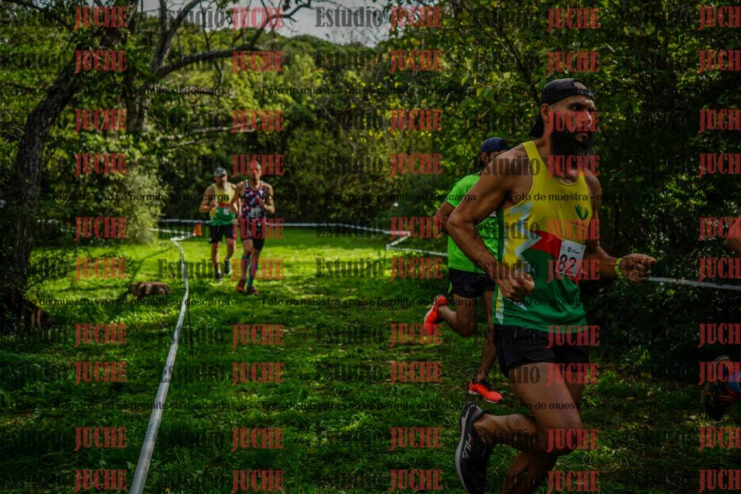 Fotos en el circuito