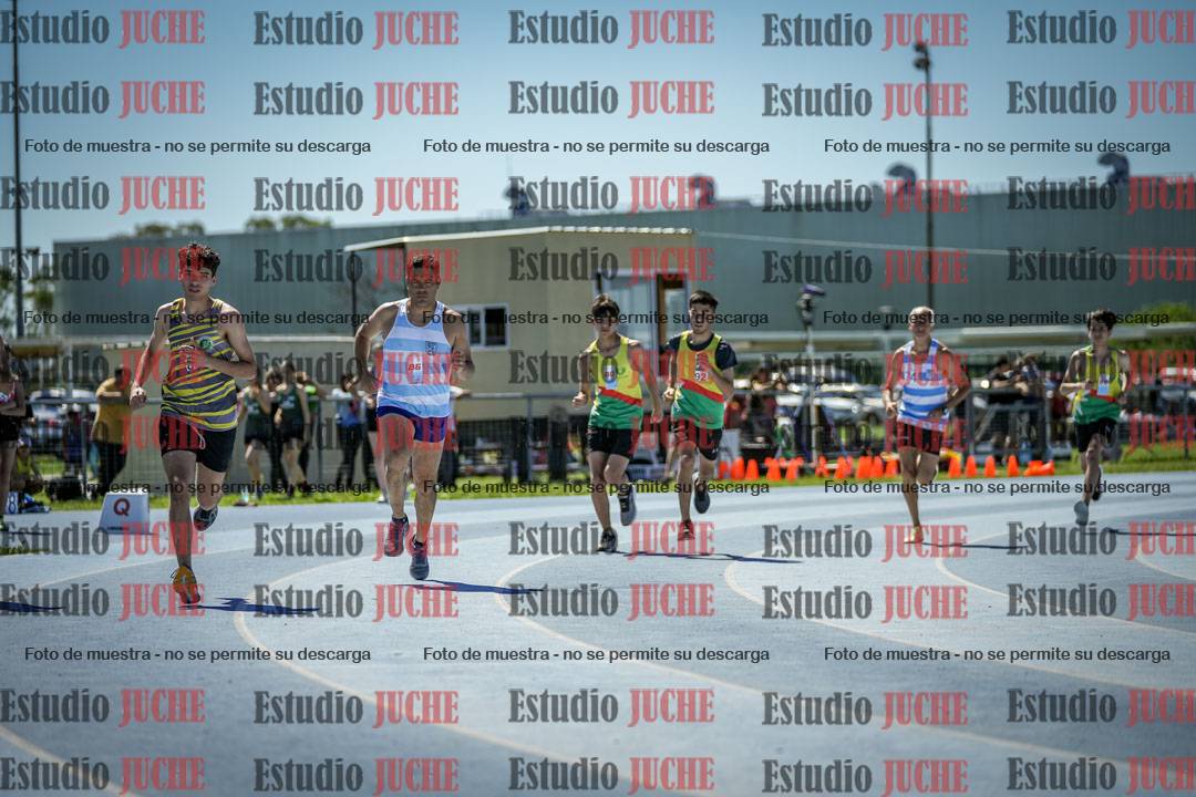 Fotos de los 800 m llanos de varones
