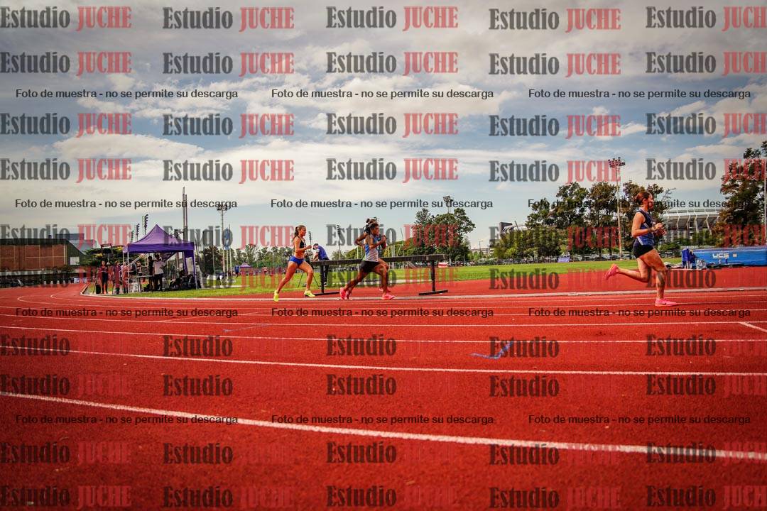 Fotos de los 800 m de mujeres