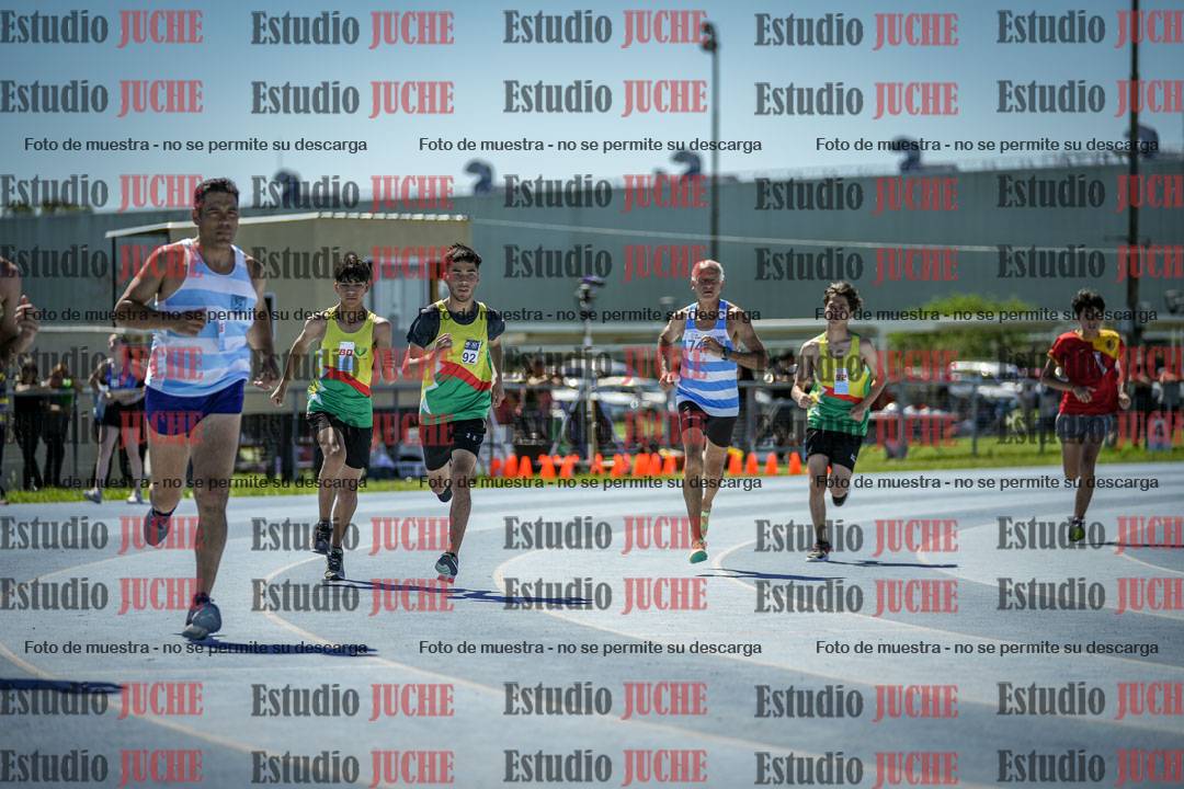 Fotos de los 800 m llanos de varones