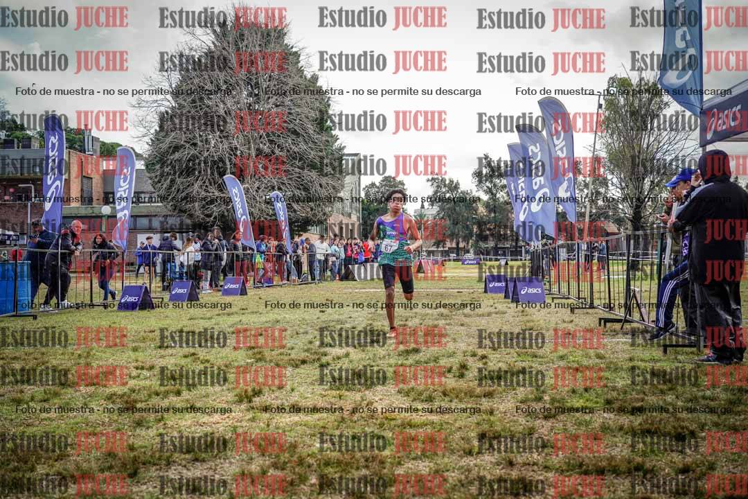 Fotos de la llegada