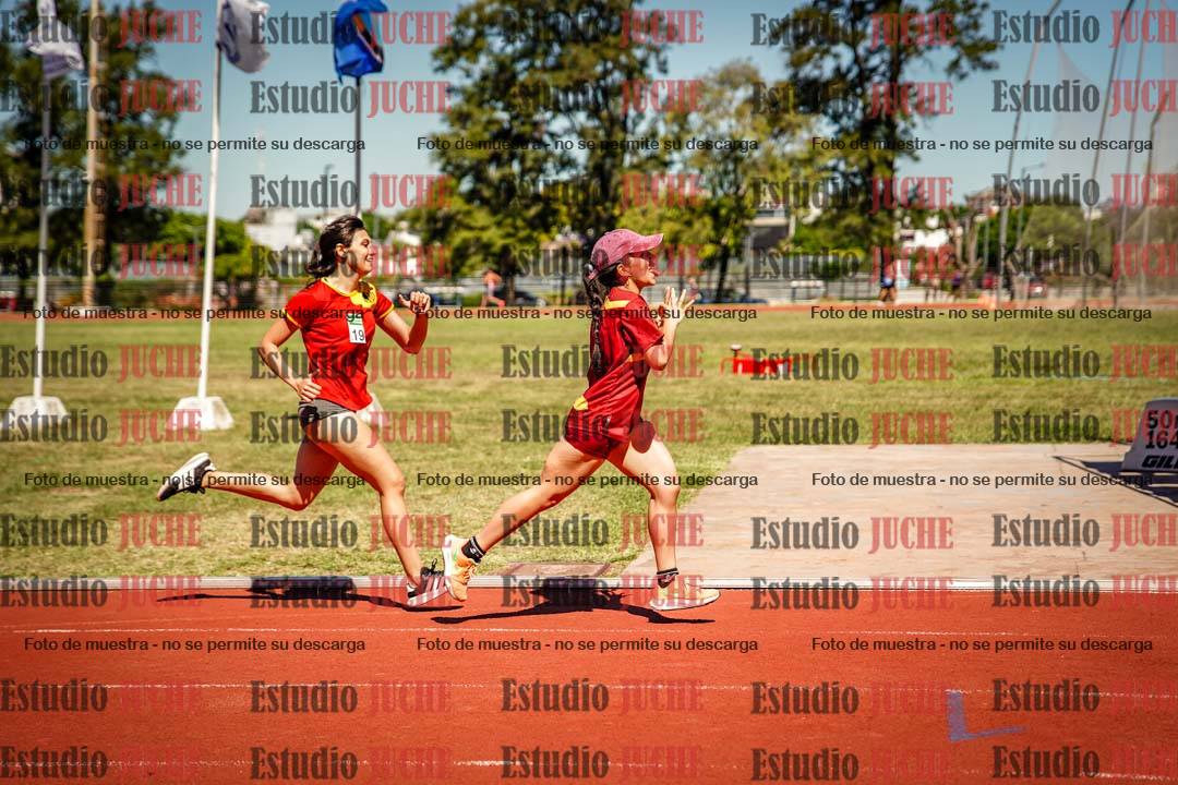 Fotos de los 800 m llanos de mujeres