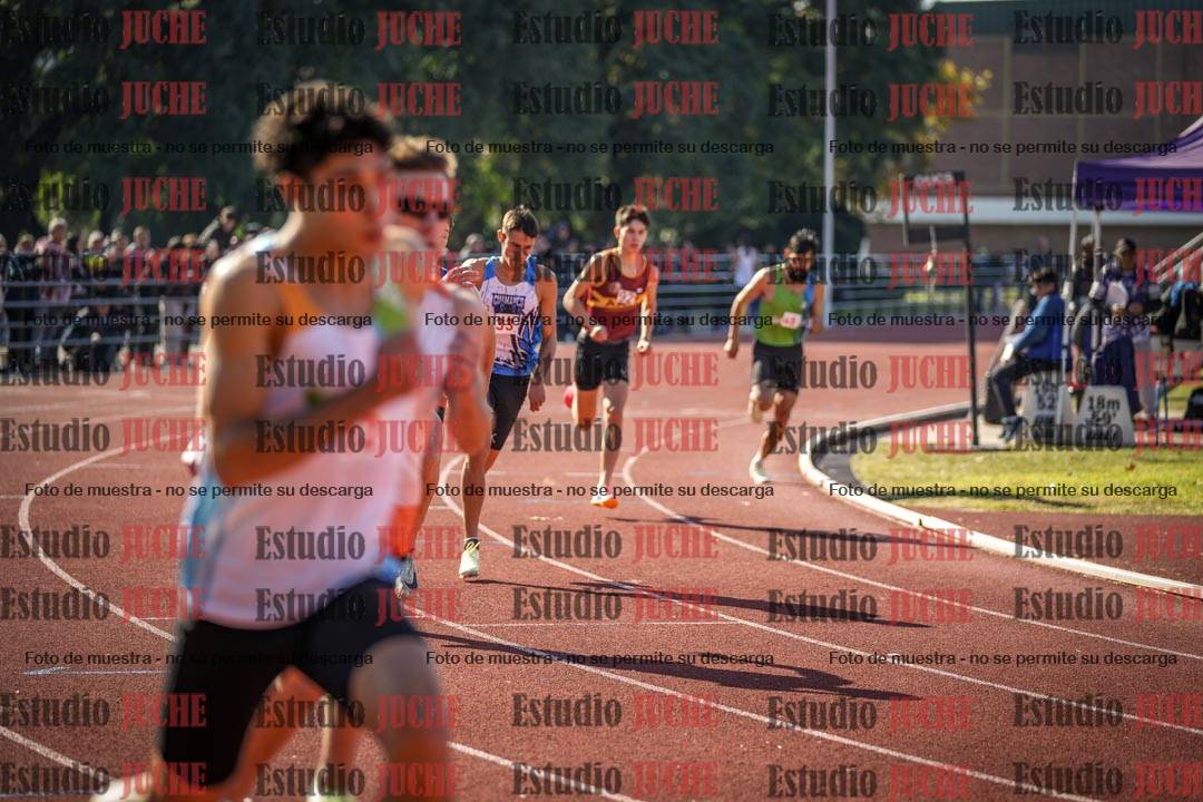 Fotos de los 800 m llanos de varones