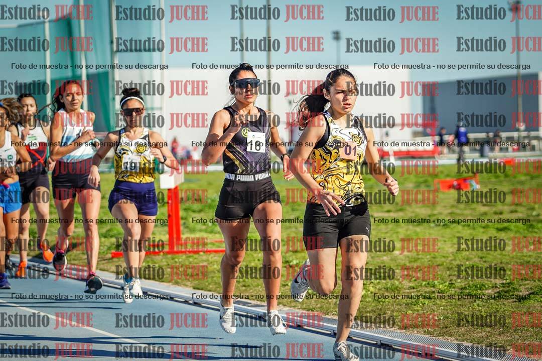 Fotos de los 1500 m de mujeres