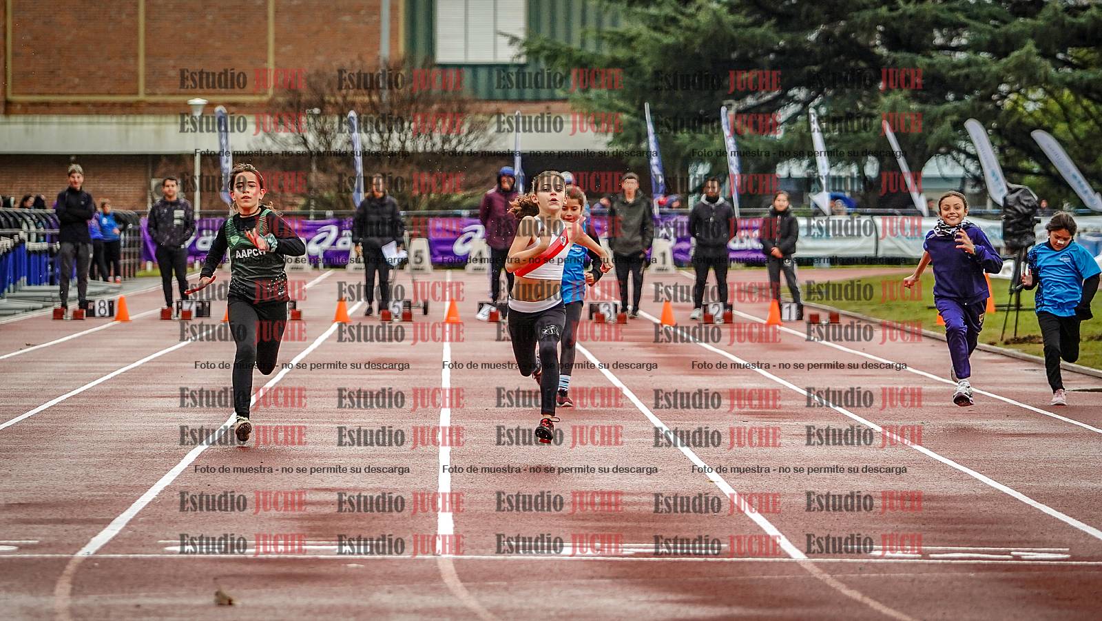 Fotos de los 50 m llanos de mujeres