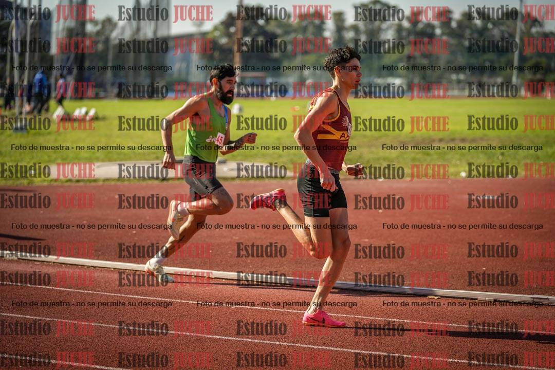 Fotos de los 800 m llanos de varones