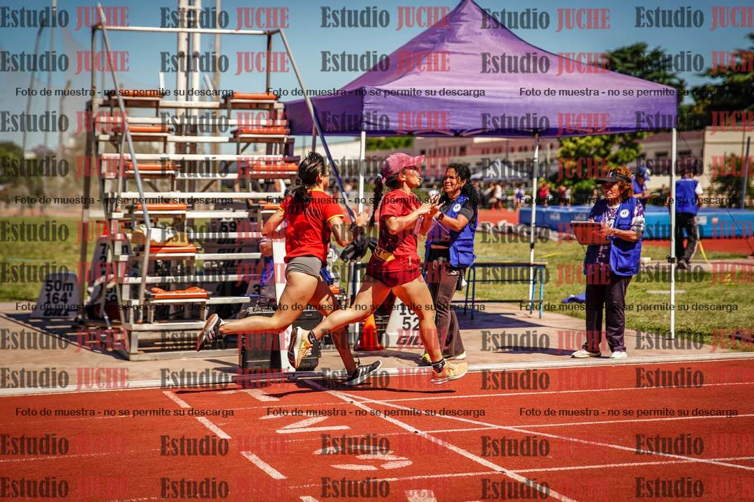 Fotos de los 800 m llanos de mujeres