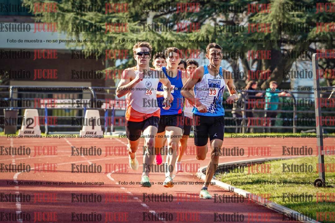 Fotos de los 800 m llanos de varones