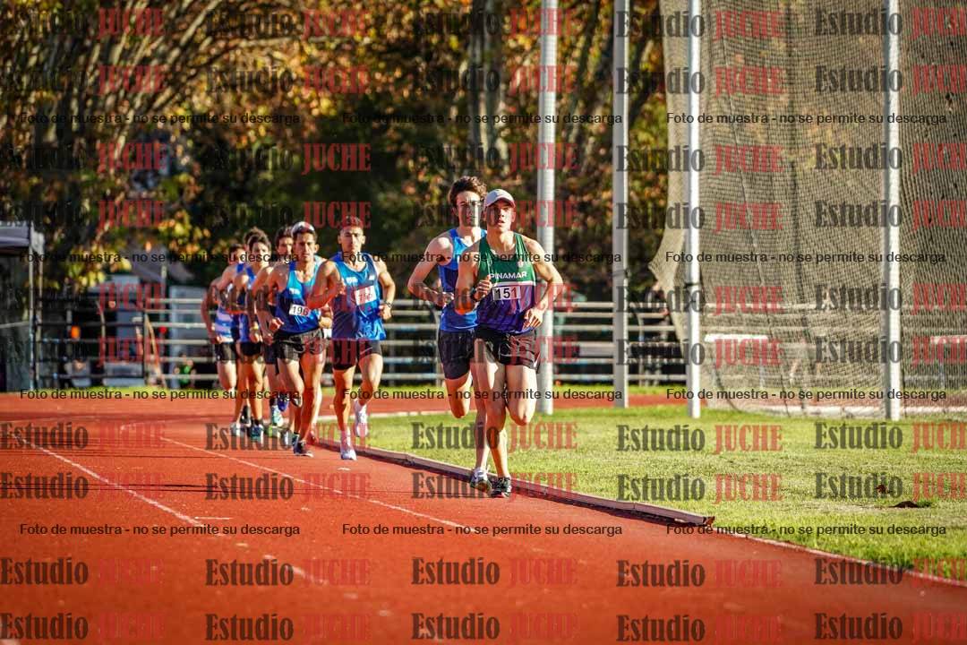Fotos de los 3000 m llanos de varones