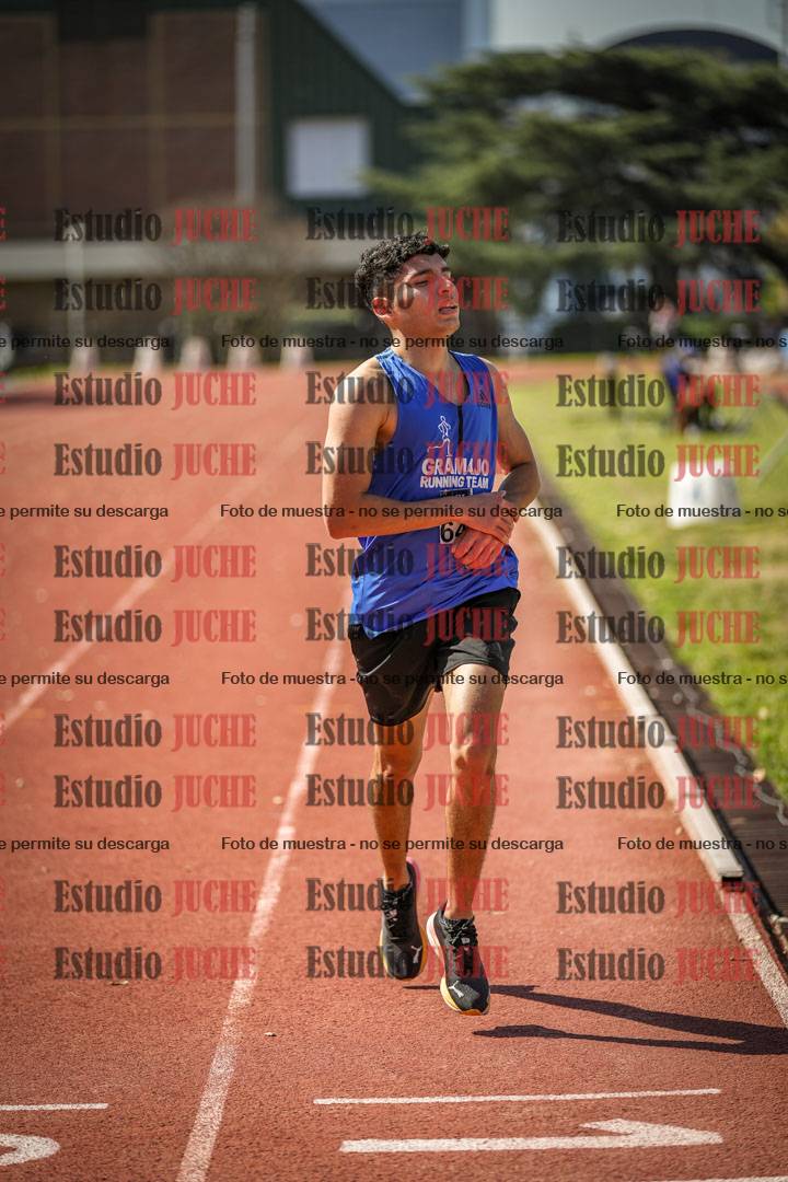 Fotos de los 1500 m llanos de varones