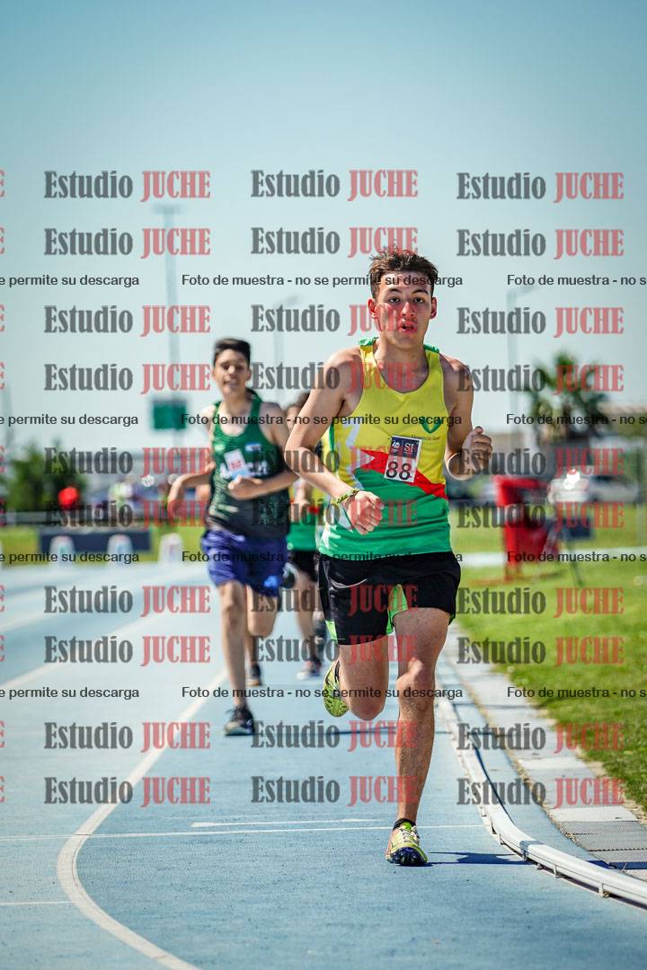 Fotos de los 800 m llanos de varones