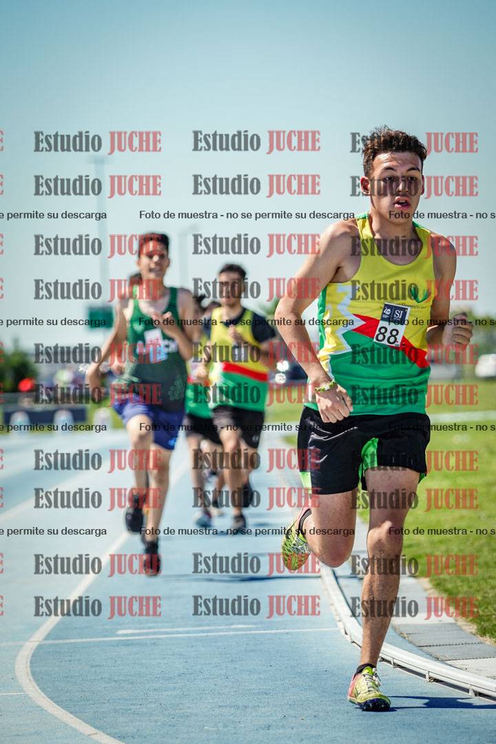 Fotos de los 800 m llanos de varones