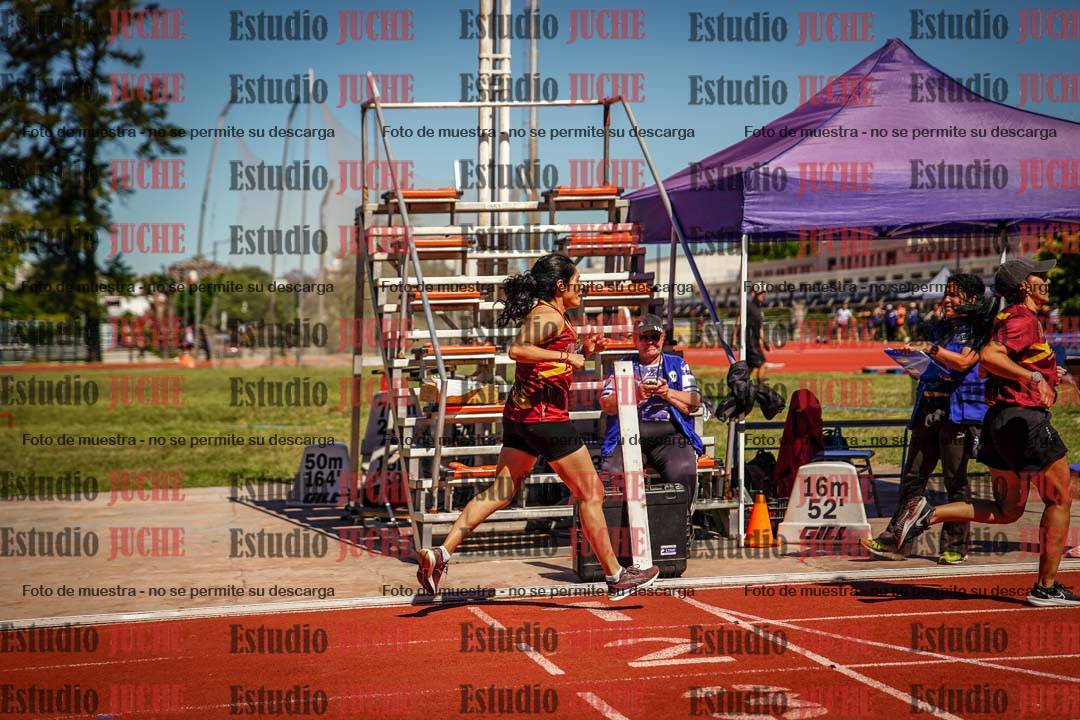 Fotos de los 800 m llanos de mujeres