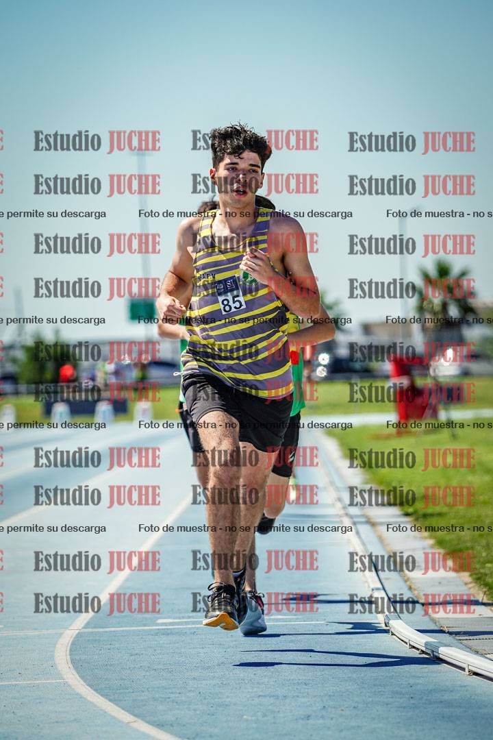 Fotos de los 800 m llanos de varones