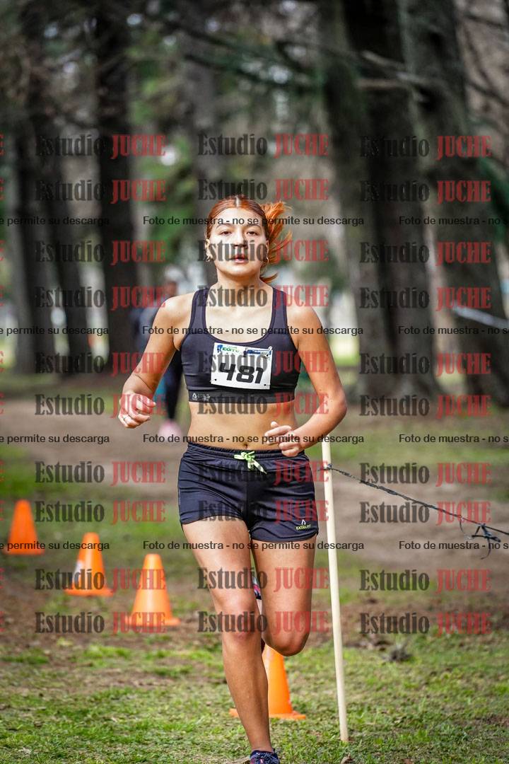 Fotos en el circuito