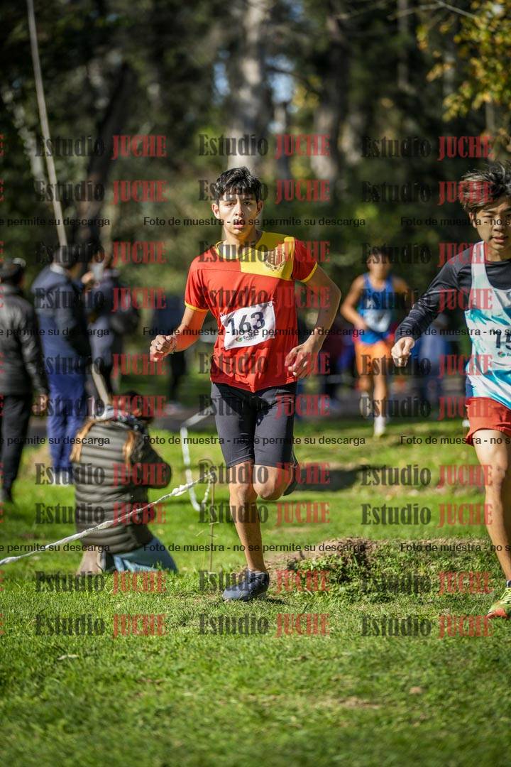 Fotos en el tercer punto del circuito