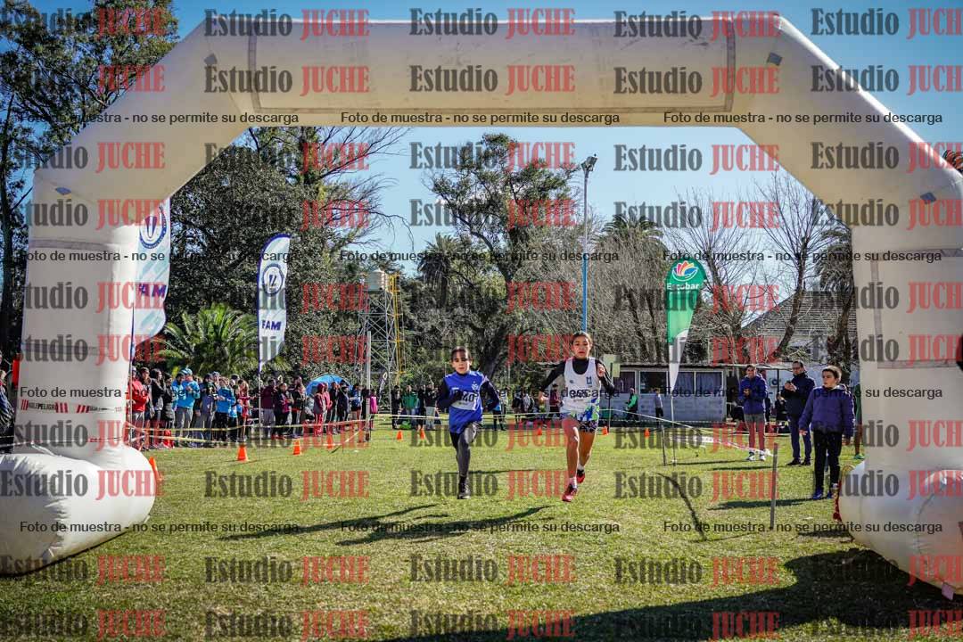 Fotos de la llegada del cross de 1500 m
