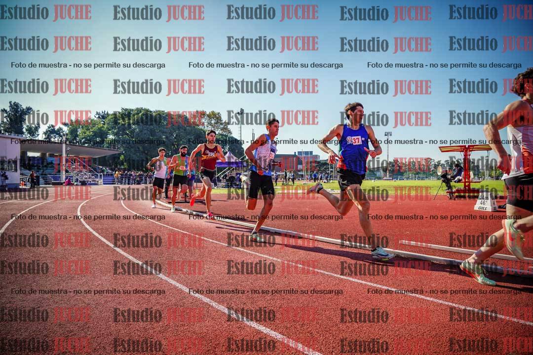 Fotos de los 800 m llanos de varones
