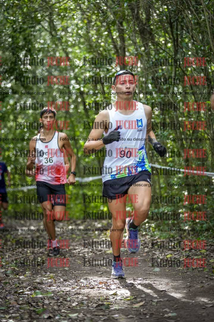 Fotos en el circuito