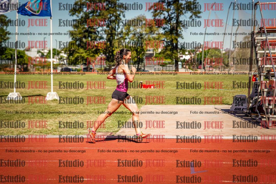 Fotos de los 800 m llanos de mujeres