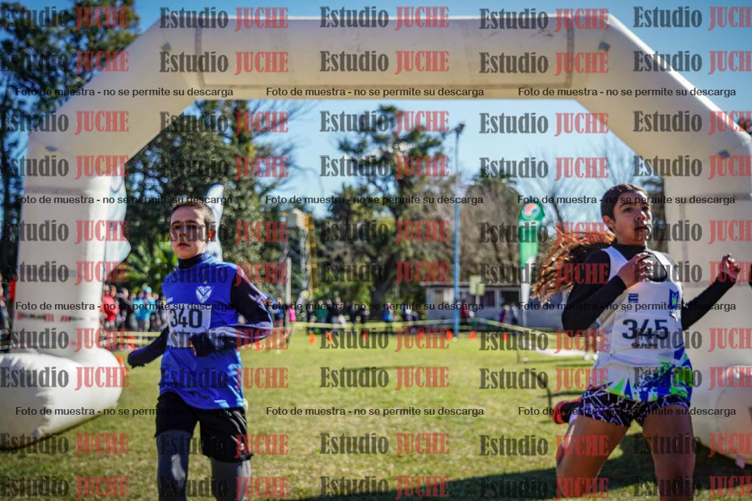Fotos de la llegada del cross de 1500 m