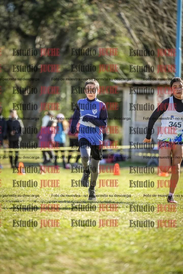 Fotos de la llegada del cross de 1500 m