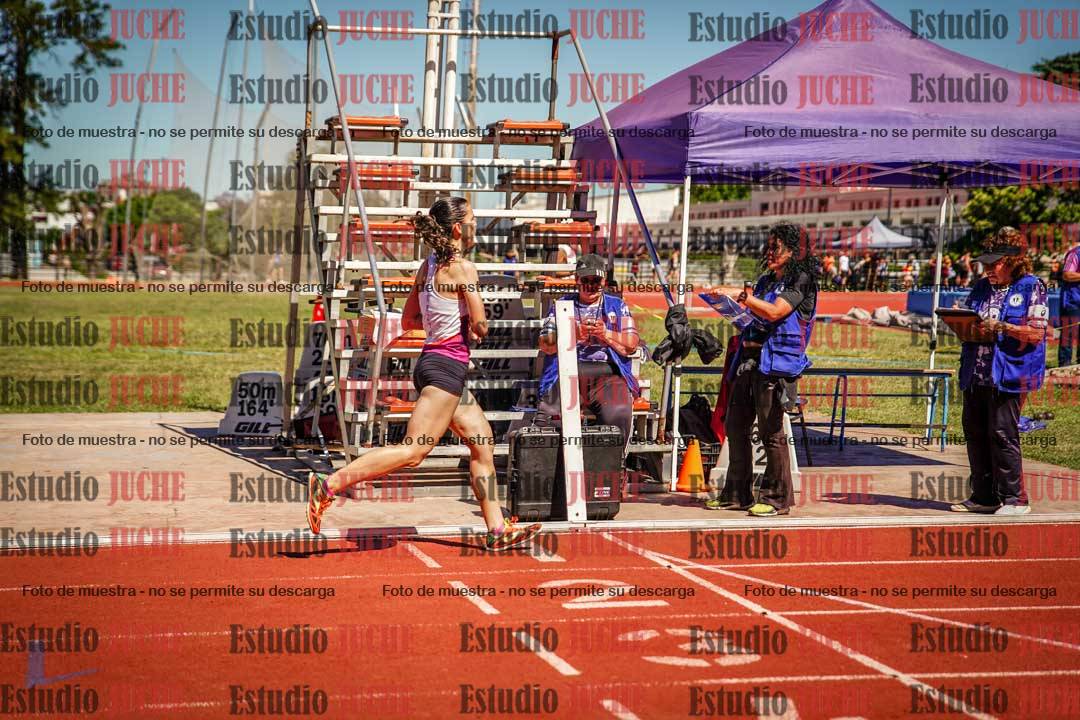 Fotos de los 800 m llanos de mujeres