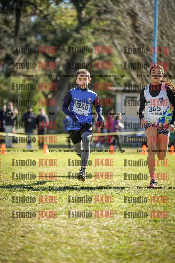 Fotos de la llegada del cross de 1500 m
