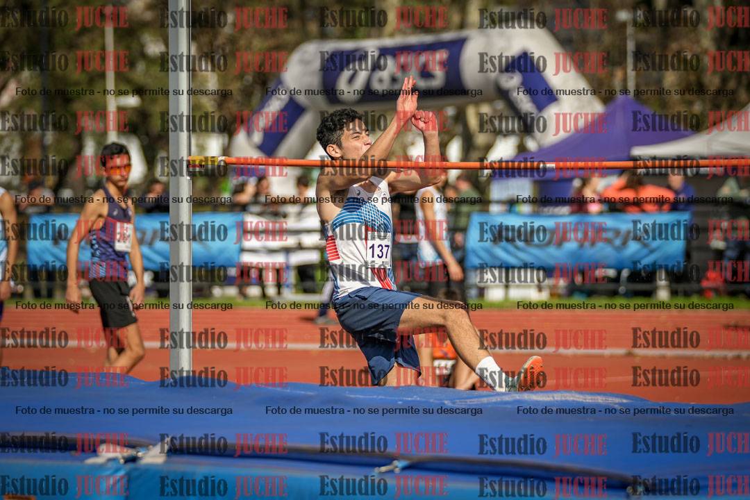 Fotos del salto en alto de varones