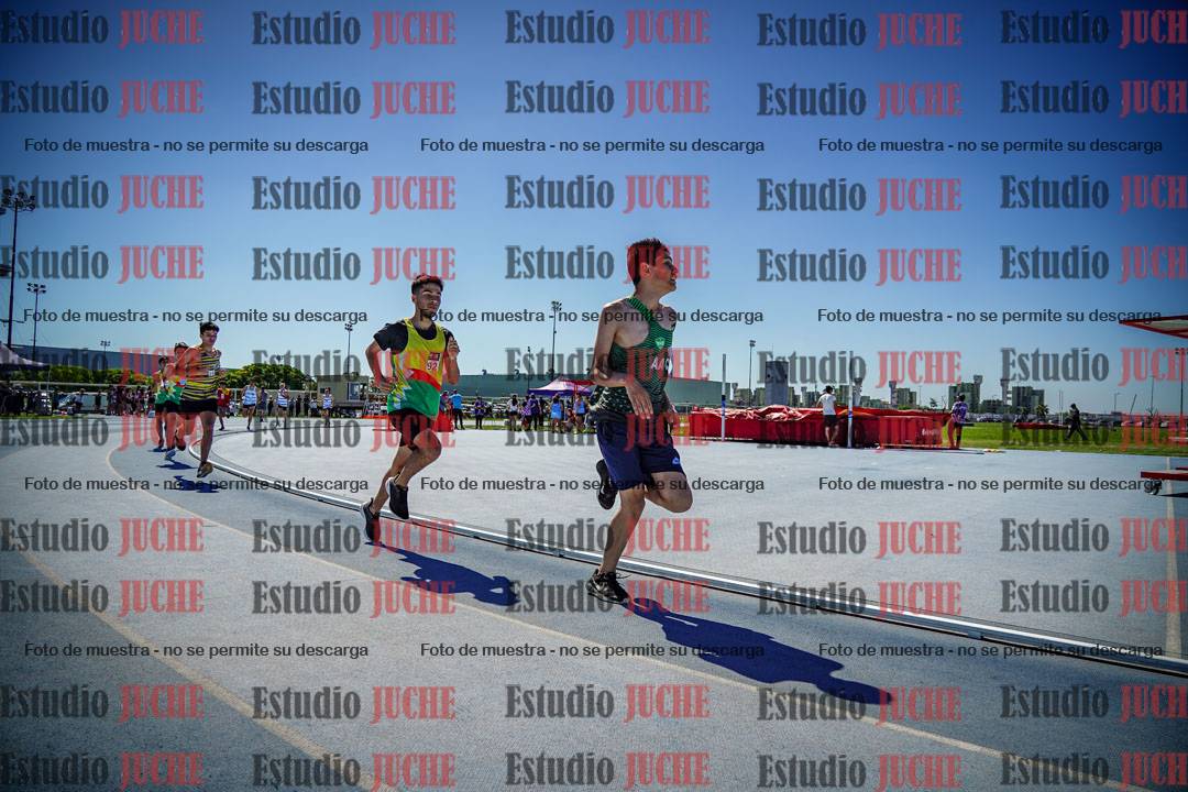 Fotos de los 800 m llanos de varones