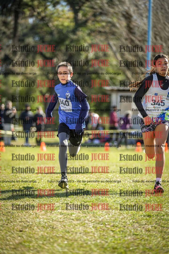 Fotos de la llegada del cross de 1500 m