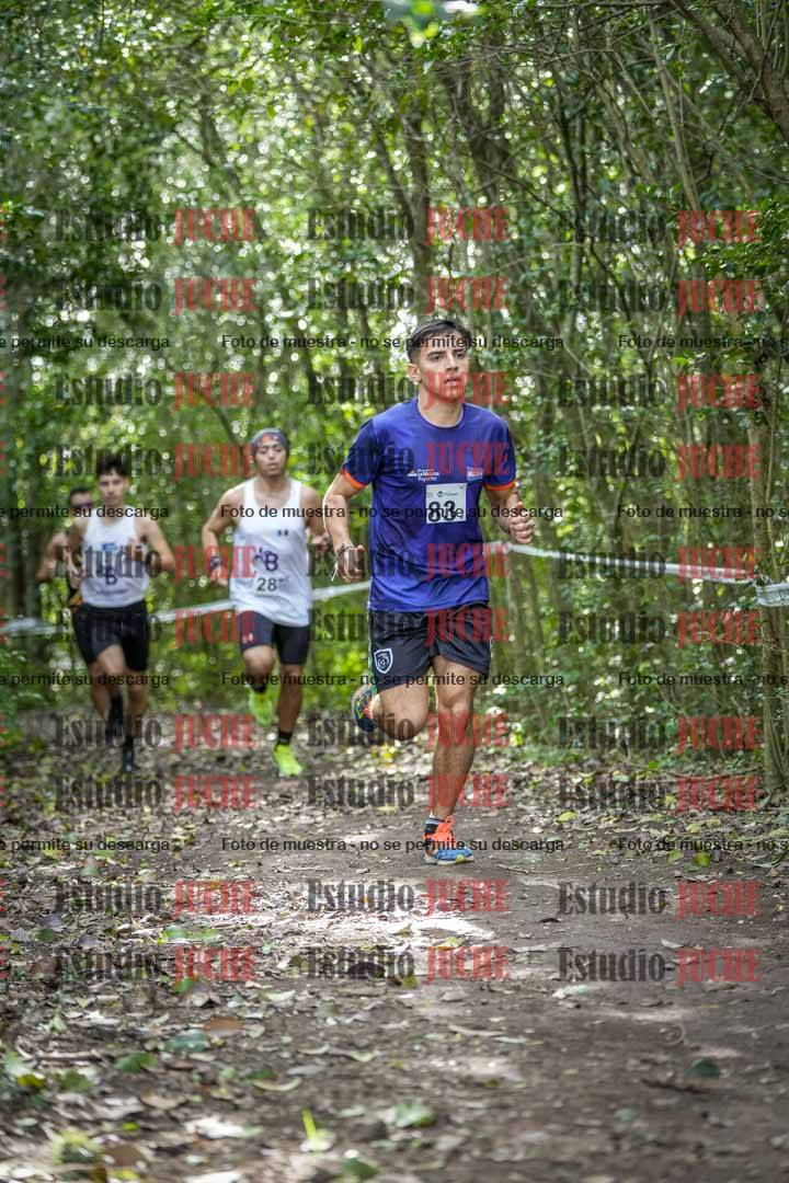 Fotos en el circuito