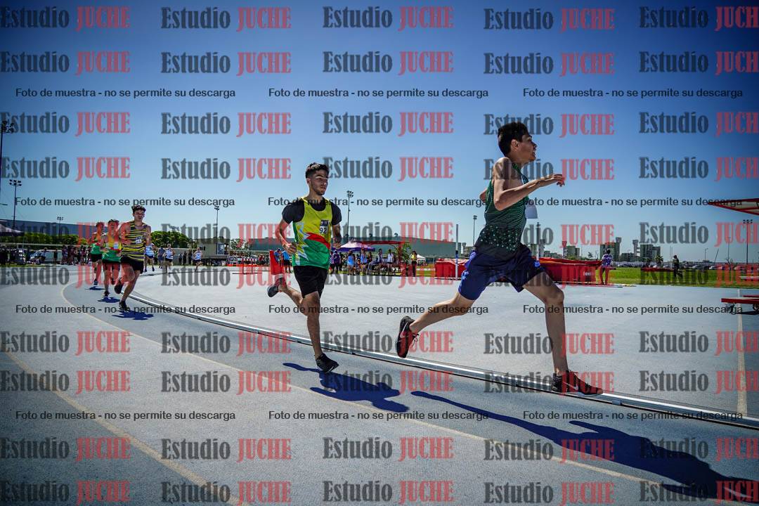 Fotos de los 800 m llanos de varones