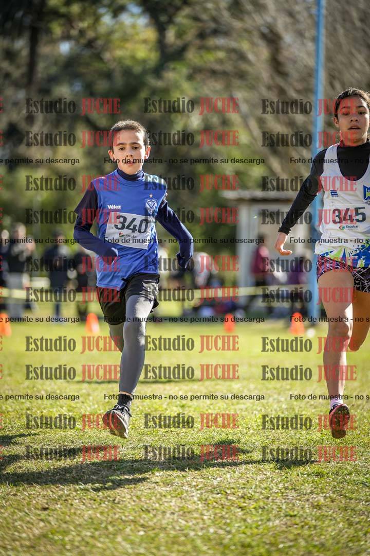Fotos de la llegada del cross de 1500 m