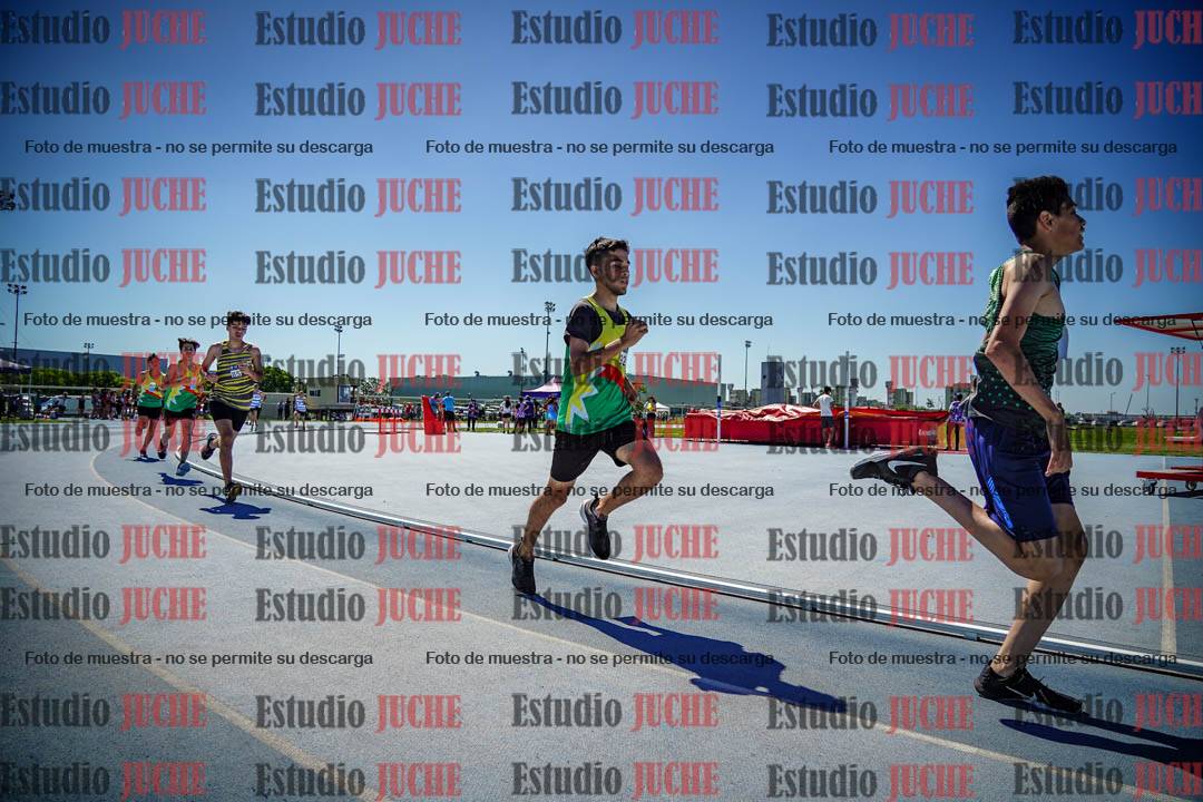 Fotos de los 800 m llanos de varones