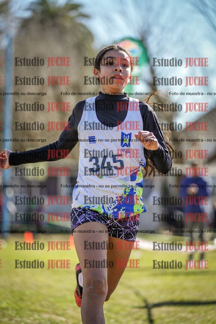 Fotos de la llegada del cross de 1500 m