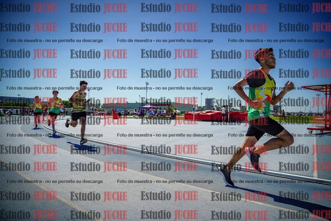 Fotos de los 800 m llanos de varones