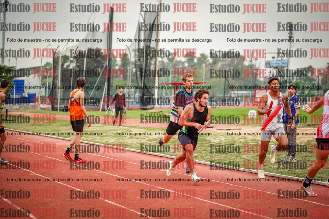 Fotos de las Postas 4x400 m de varones
